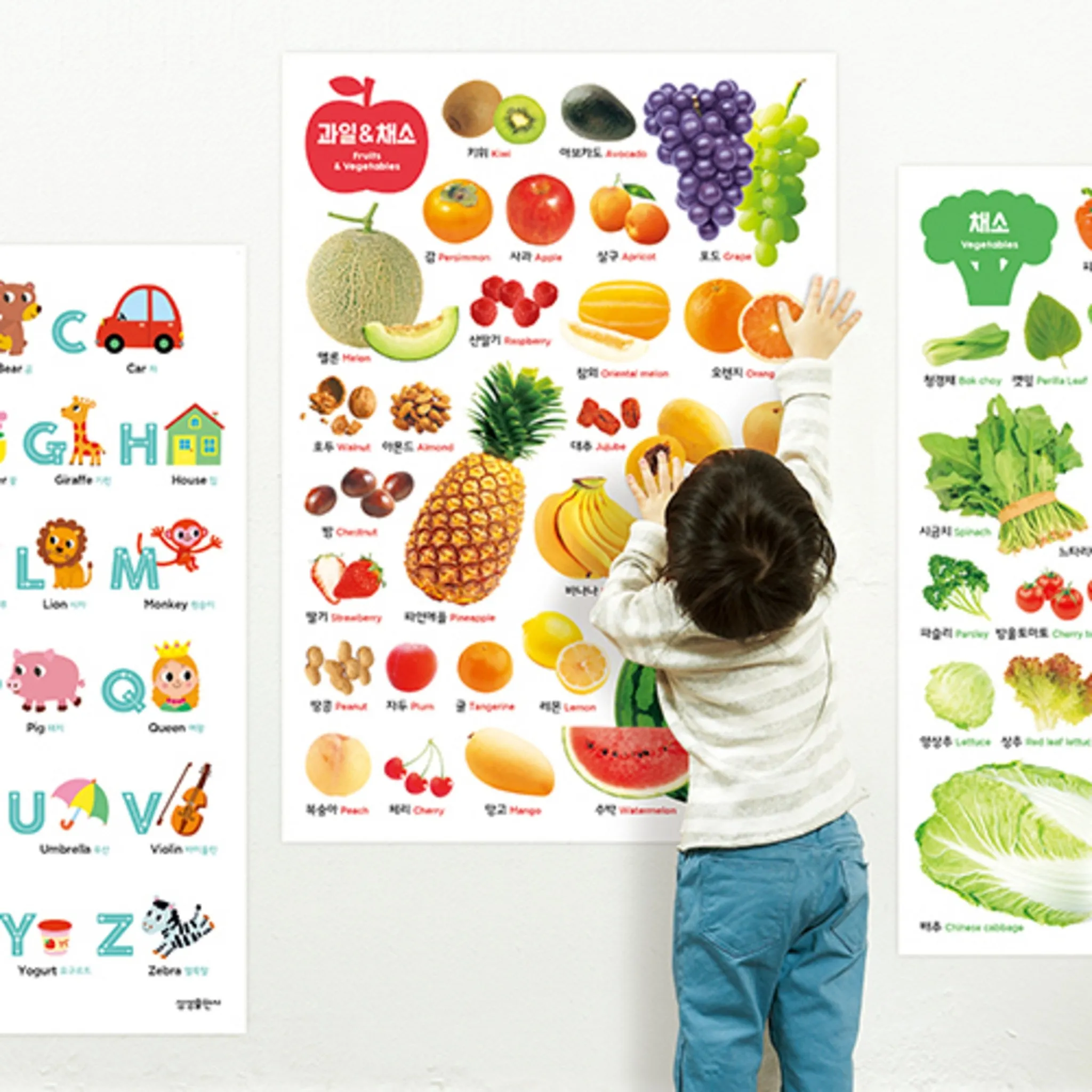 Home School Wall Mural Set of 12 - Educational Posters - 🏆 #46 - Books/Music/DVDs - Best of December