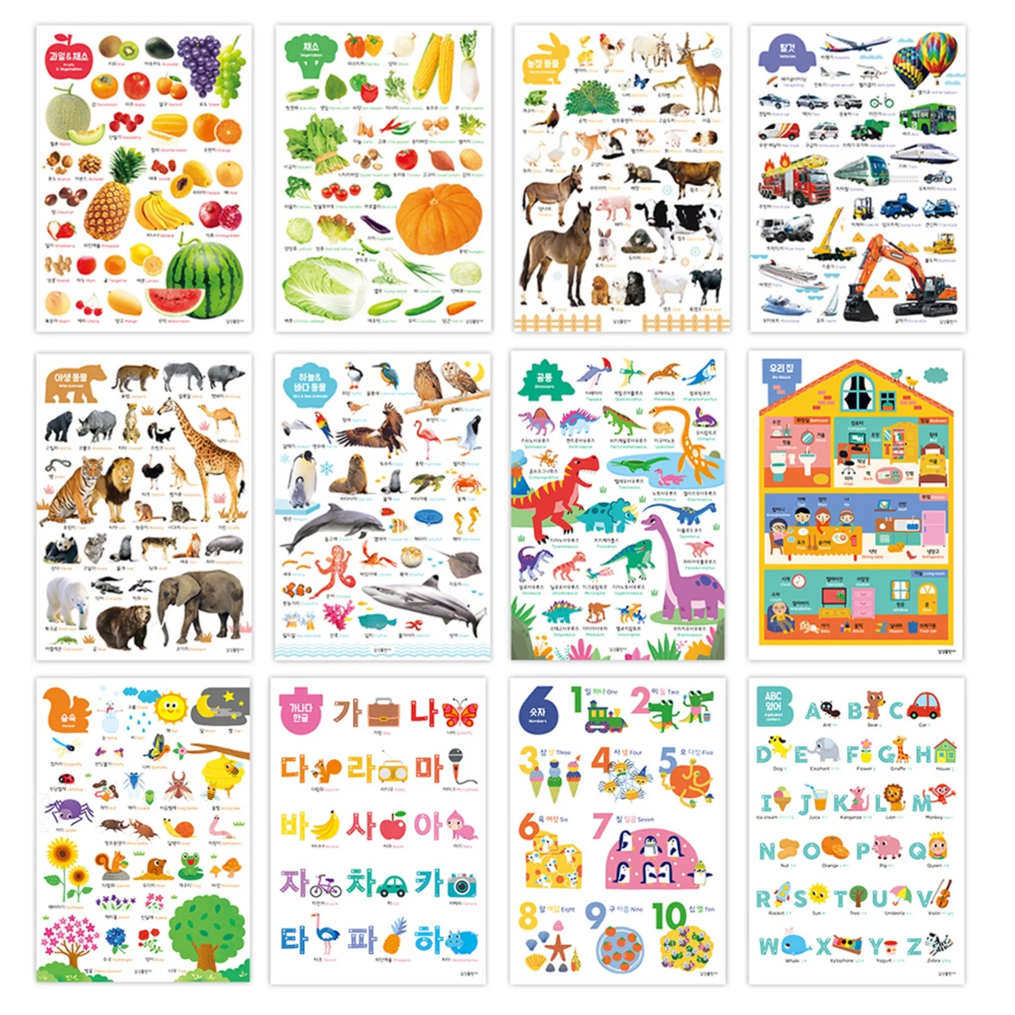 Home School Wall Mural Set of 12 - Educational Posters - 🏆 #46 - Books/Music/DVDs - Best of December